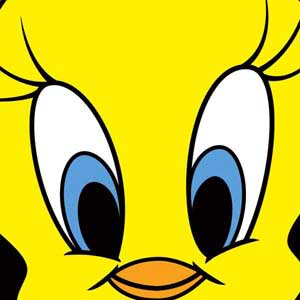 Looney Tunes Tweety Bird Ativ Book 9 (15.6in 2014) Skin